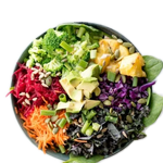 quick healthy salad | cookhealthyrecipe.com